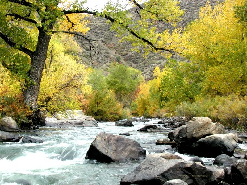 ClearCreekWading2