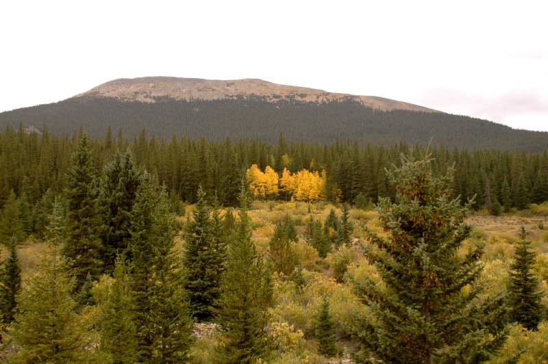 02FallColor_2250