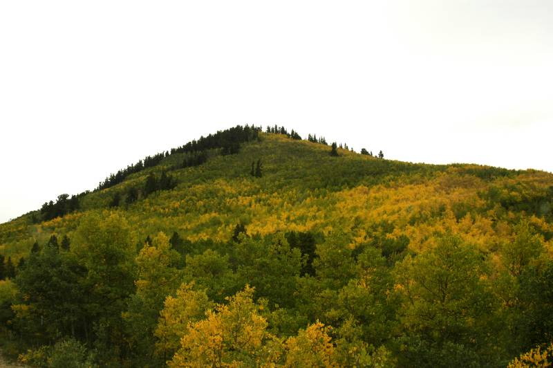 02FallColor_2271