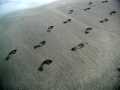 070402.footprints