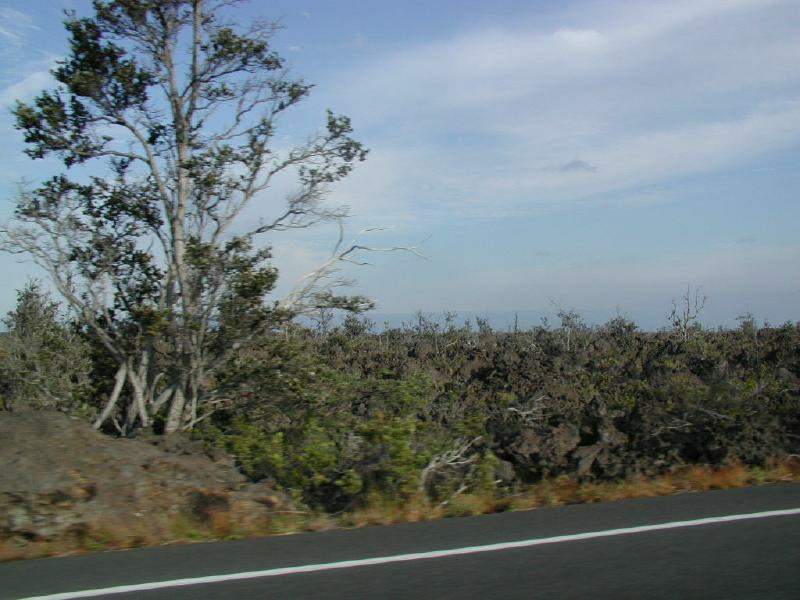 070202.Driving43