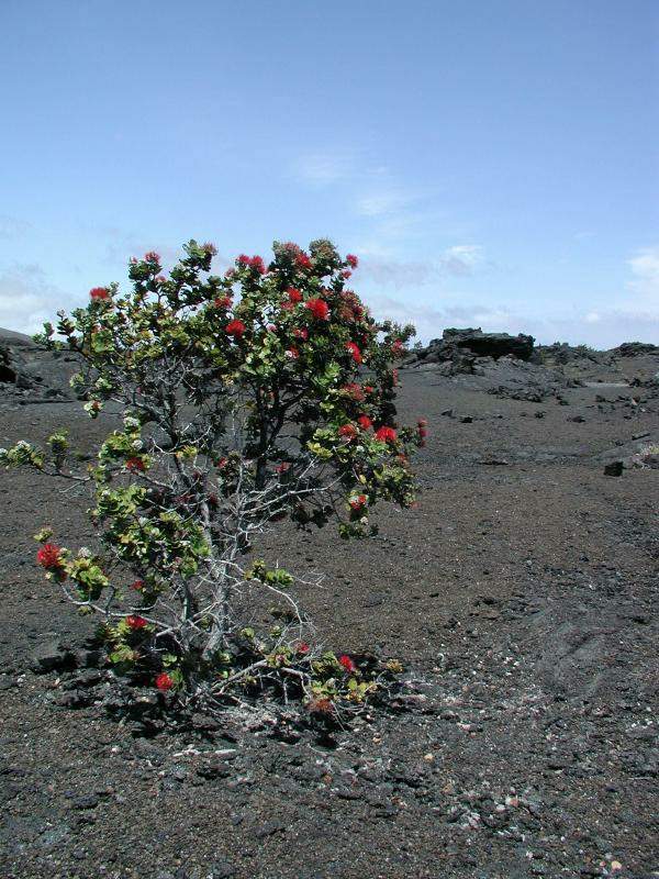 070202.Volcano0940r
