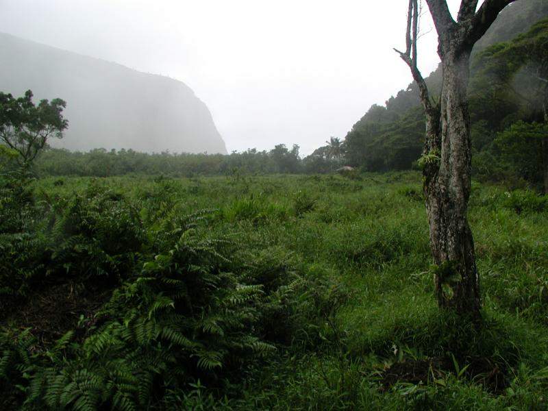 070302.WaipioValley57