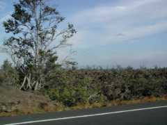 070202.Driving43