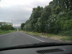070202.Driving56
