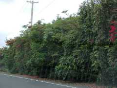 070202.Drivinga908