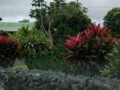 070202.Drivinga916