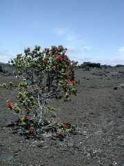 070202.Volcano0940r