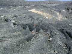 070202.Volcano0981