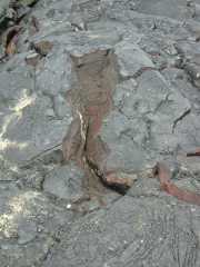 070202.Volcano0987r
