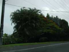 070302.Driving106