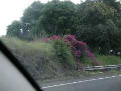 070302.Driving107