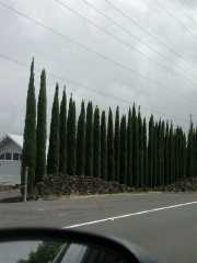 070302.Driving108r