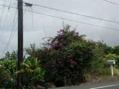 070302.Driving109
