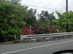 070302.Driving110