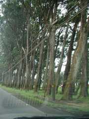 070302.Driving124r