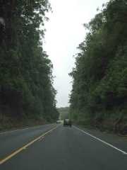 070302.Driving131r