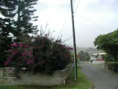 070302.Driving197