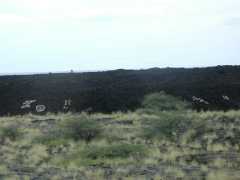 070302.Driving217
