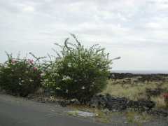 070302.Driving229
