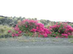 070302.Driving233