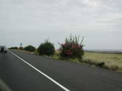 070302.Driving234