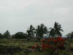 070302.Driving238