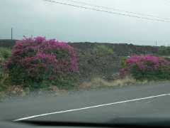 070302.Driving244