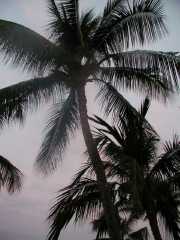 070302.RoomView093r