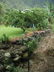 070302.WaipioValley46r