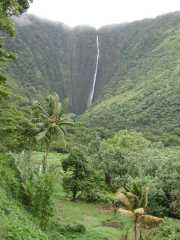 070302.WaipioValley53r
