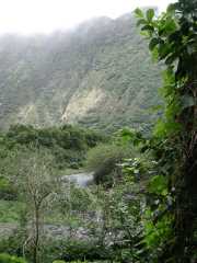 070302.WaipioValley54r