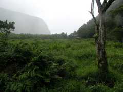 070302.WaipioValley57