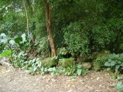 070302.WaipioValley68
