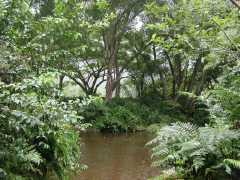 070302.WaipioValley73