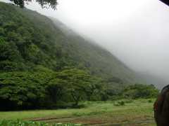 070302.WaipioValley75
