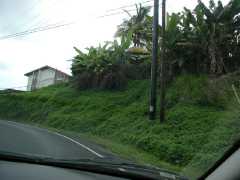 070402.Driving352