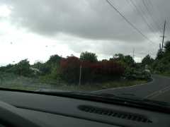 070402.Driving361