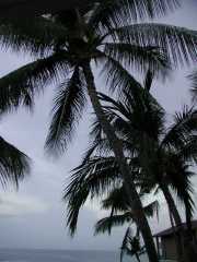 070402.KonaCoast255r