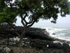 070402.KonaCoast259