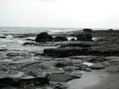 070402.LastBeach38