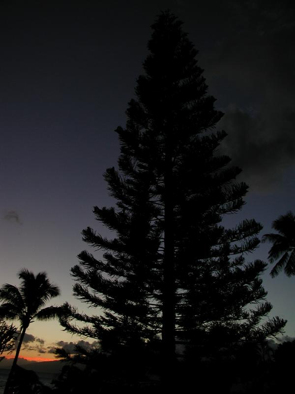 062902.Sunset79r