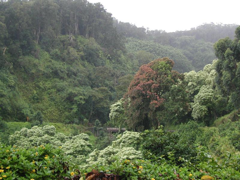 063002.RoadToHana614