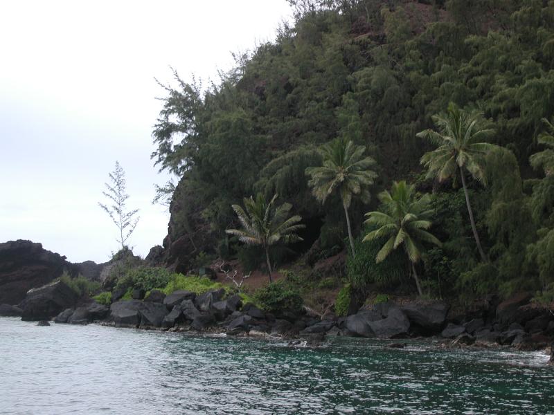 063002.RoadToHana653
