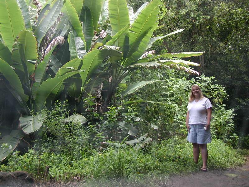 063002.RoadToHana660