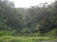 063002.Driving09