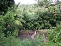063002.RoadToHana598
