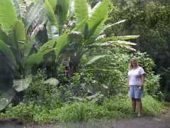 063002.RoadToHana660