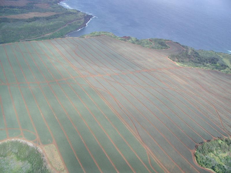 070102.HeloRideMaui747