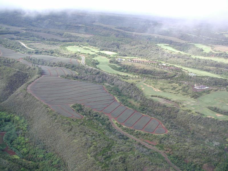 070102.HeloRideMaui751